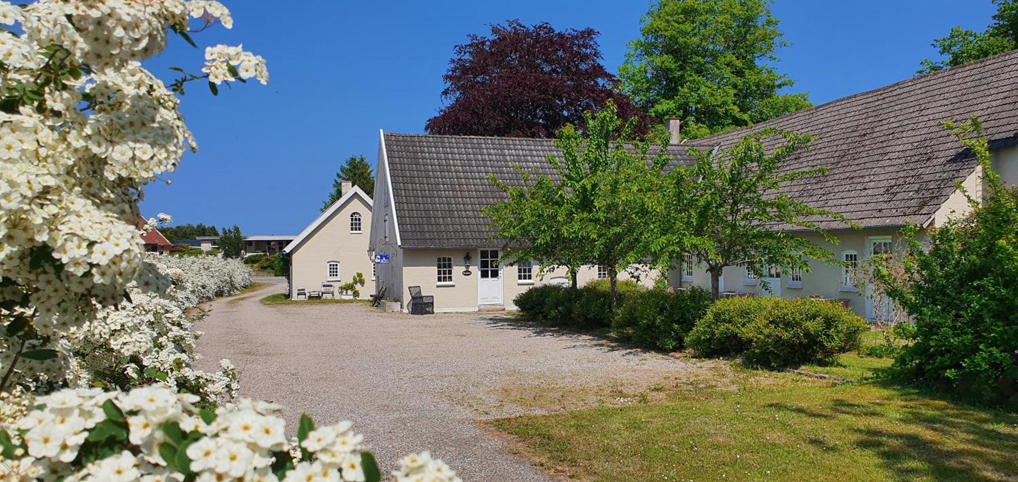 Store Ejlstrup Bed & Breakfast Odense Ngoại thất bức ảnh